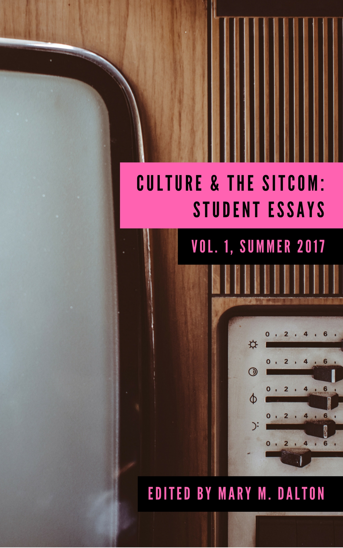 Cover image for Culture and the Sitcom: Student Essays