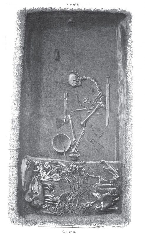 A detailed sketch, from an overhead perspective, of the excavated burial site of a viking warrior. The warrior's skull, spine, and leg bones are surrounded by various weapons, and at the warrior's feet are the skeletons of two horses.